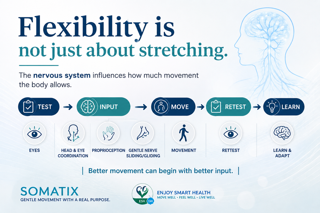 Flexibility Is Not Just About Stretching: Why the Nervous System Matters